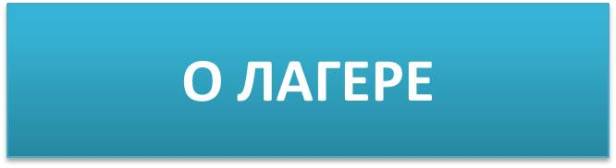 MusicCampInFinland_AntonenPalvelu